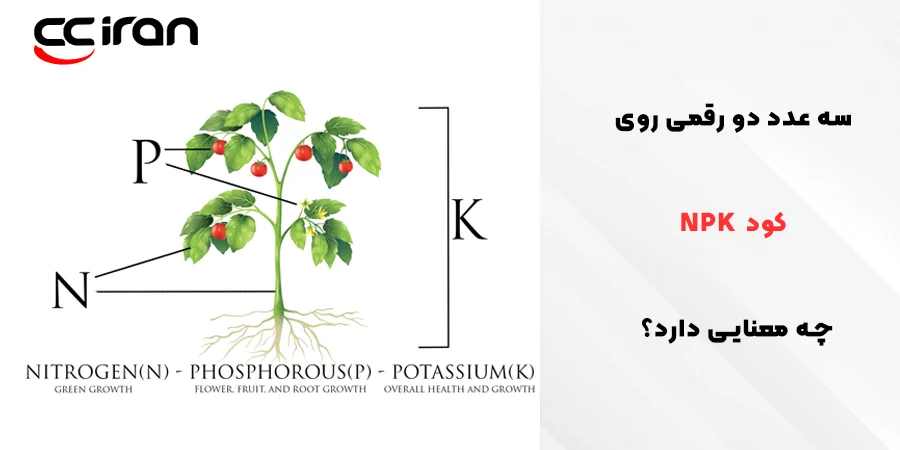 سه عدد دو رقمی روی کود چه معنایی دارد؟